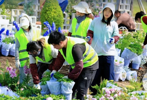 股票配资公司平台 上海商学院《杉影·时·光》获大学生花园节铂金奖