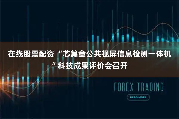 在线股票配资 “芯篇章公共视屏信息检测一体机”科技成果评价会召开